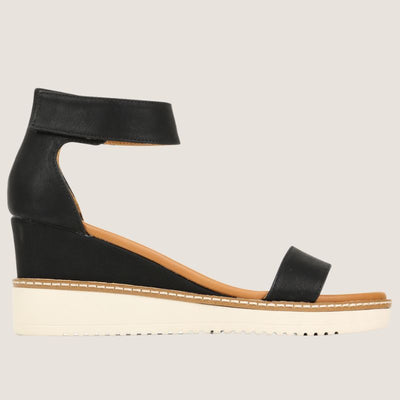 Los Cabos Tweet Wedge